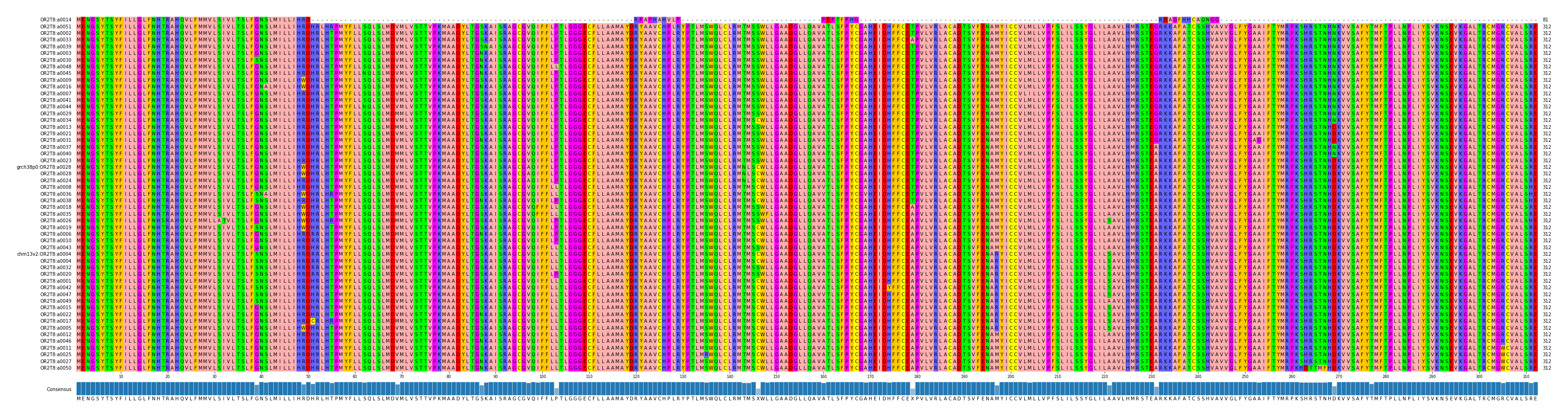 Multiple Alignments (by translate haplotype similarity)