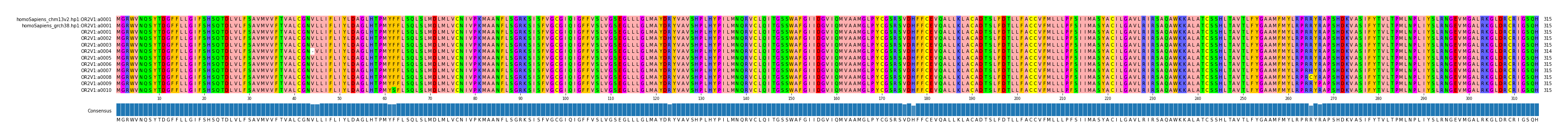 Multiple Alignments (by translate haplotype frequency)