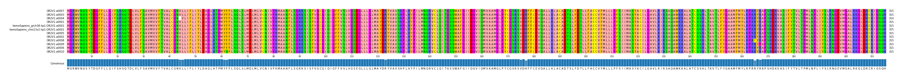 Multiple Alignments (by translate haplotype similarity)