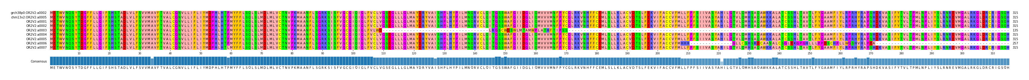 Multiple Alignments (by translate haplotype frequency)