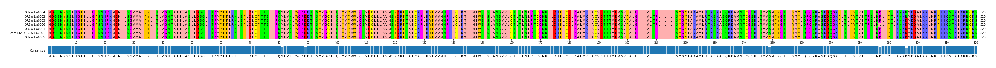 Multiple Alignments (by translate haplotype similarity)