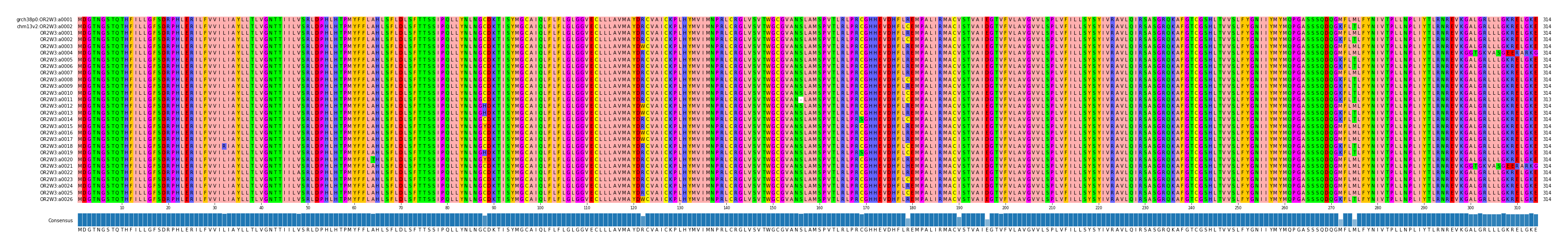 Multiple Alignments (by translate haplotype frequency)