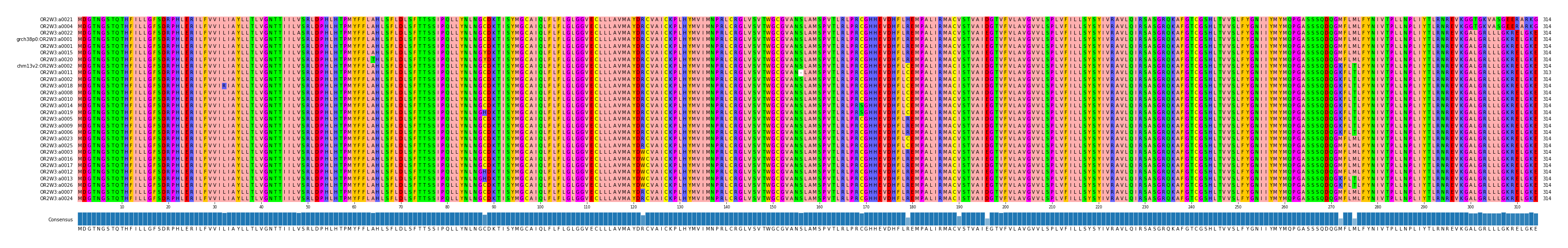 Multiple Alignments (by translate haplotype similarity)