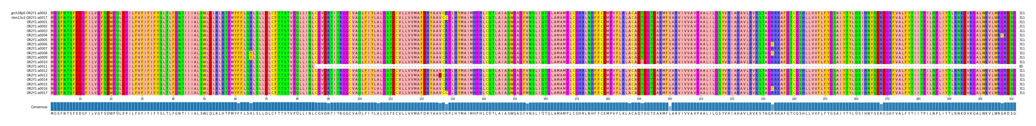 Multiple Alignments (by translate haplotype frequency)
