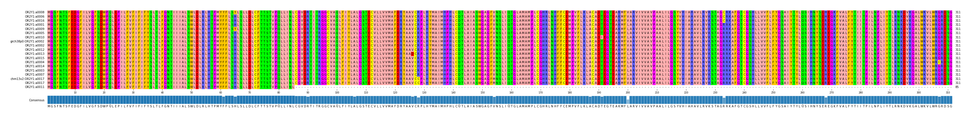 Multiple Alignments (by translate haplotype similarity)