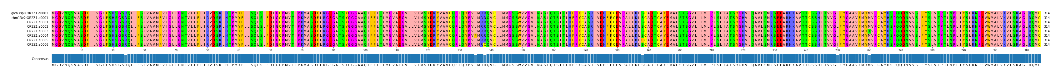 Multiple Alignments (by translate haplotype frequency)