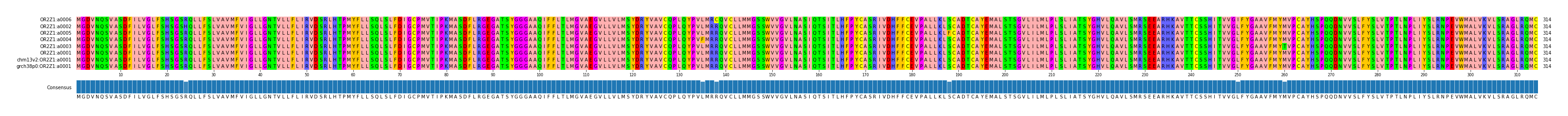 Multiple Alignments (by translate haplotype similarity)