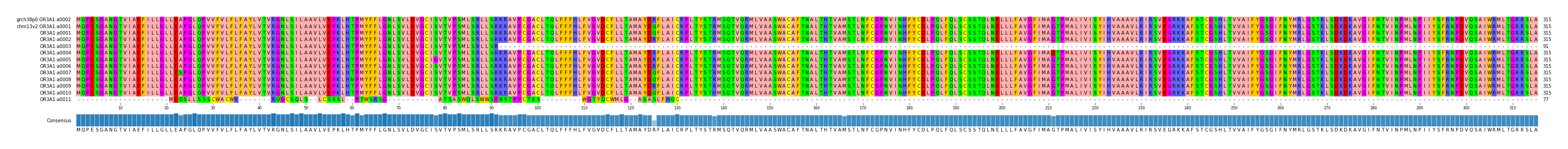 Multiple Alignments (by translate haplotype frequency)