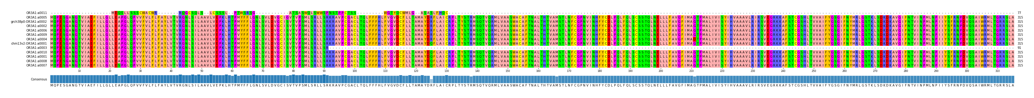 Multiple Alignments (by translate haplotype similarity)