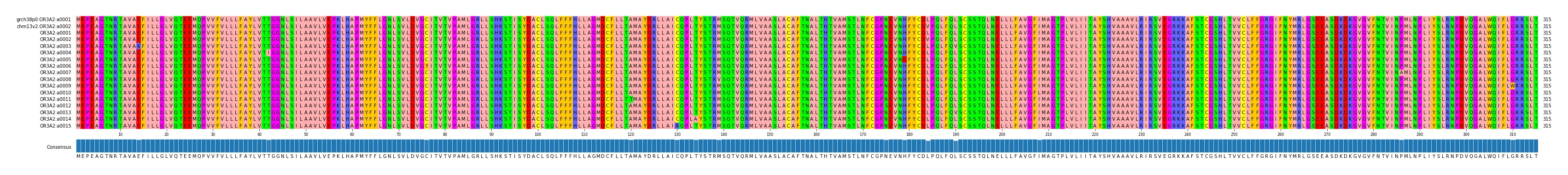Multiple Alignments (by translate haplotype frequency)