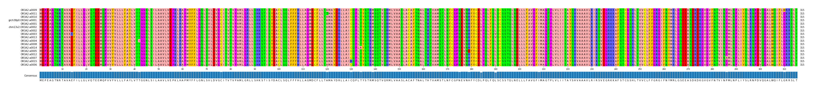 Multiple Alignments (by translate haplotype similarity)