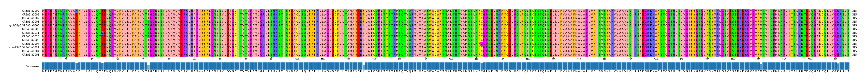 Multiple Alignments (by translate haplotype similarity)