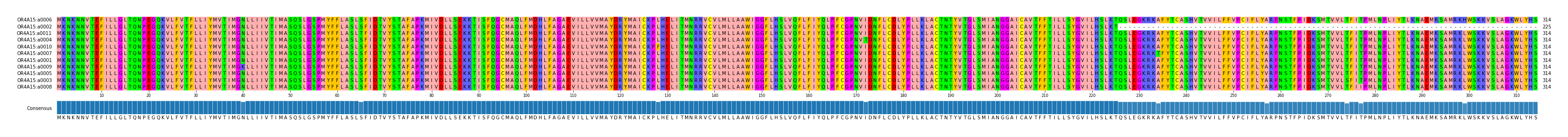Multiple Alignments (by translate haplotype similarity)