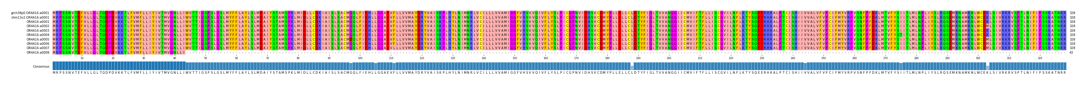 Multiple Alignments (by translate haplotype frequency)