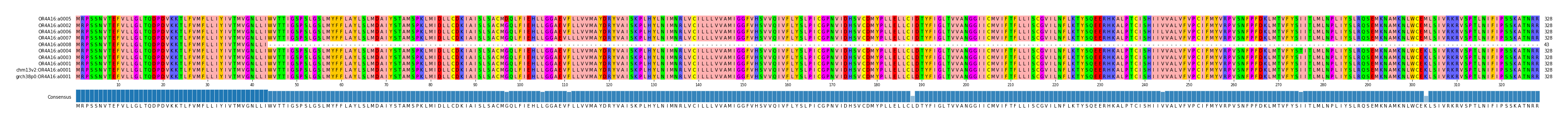 Multiple Alignments (by translate haplotype similarity)