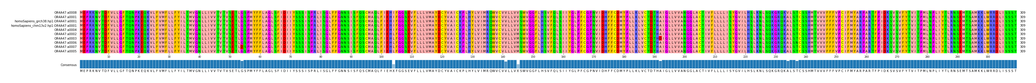 Multiple Alignments (by translate haplotype similarity)