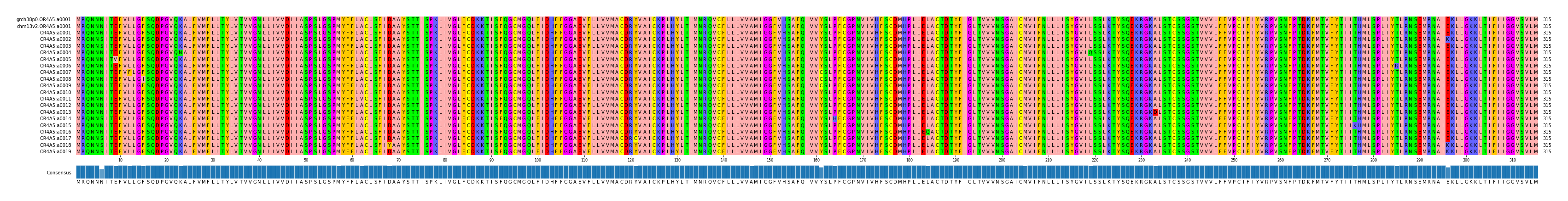 Multiple Alignments (by translate haplotype frequency)