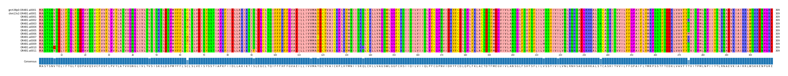 Multiple Alignments (by translate haplotype frequency)