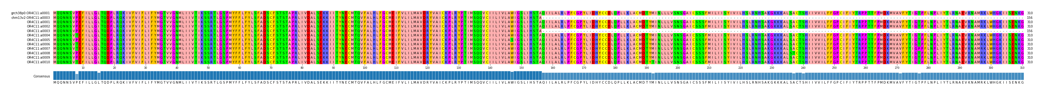 Multiple Alignments (by translate haplotype frequency)