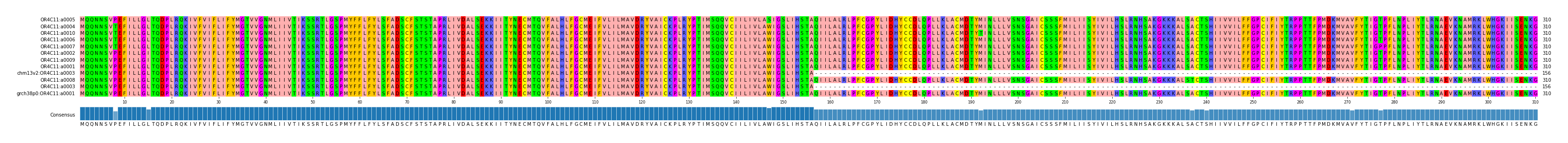Multiple Alignments (by translate haplotype similarity)