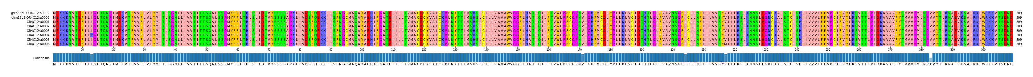 Multiple Alignments (by translate haplotype frequency)
