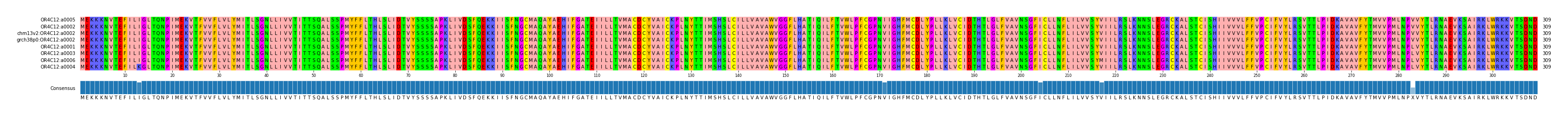 Multiple Alignments (by translate haplotype similarity)