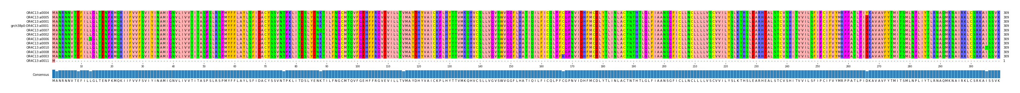Multiple Alignments (by translate haplotype similarity)