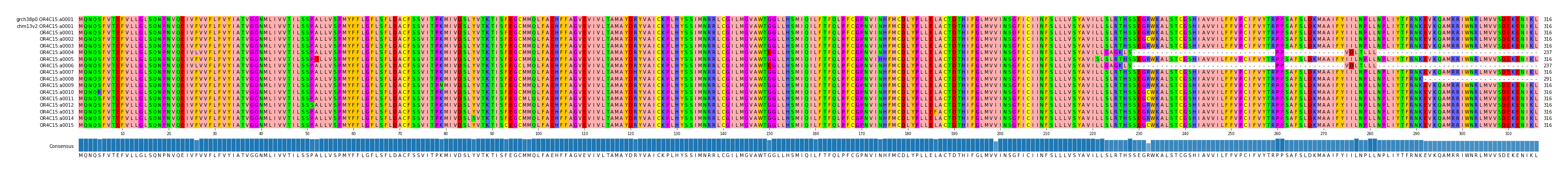 Multiple Alignments (by translate haplotype frequency)