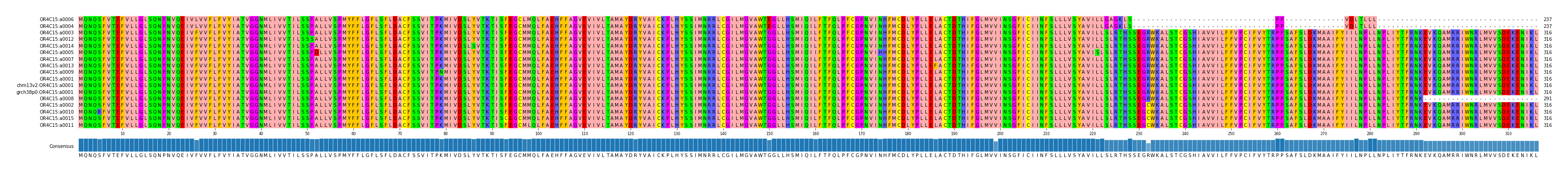 Multiple Alignments (by translate haplotype similarity)