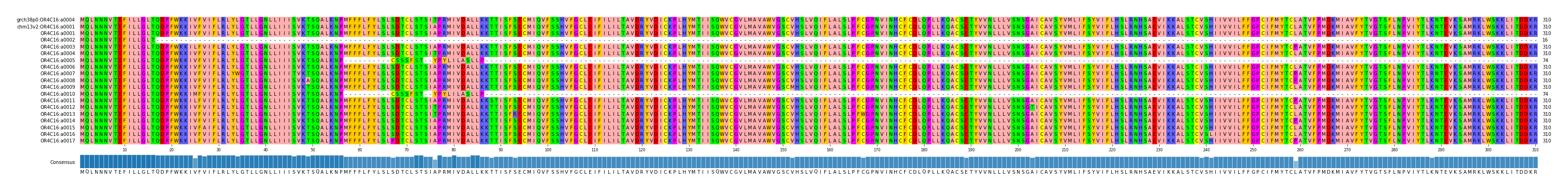 Multiple Alignments (by translate haplotype frequency)