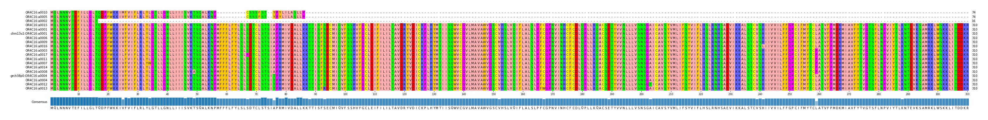 Multiple Alignments (by translate haplotype similarity)