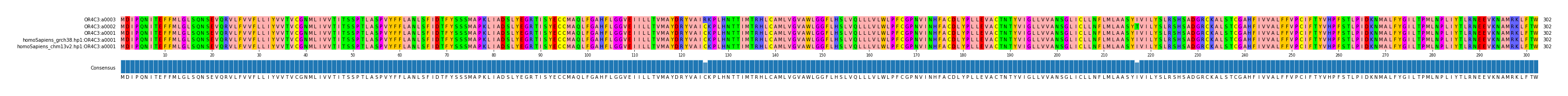 Multiple Alignments (by translate haplotype similarity)