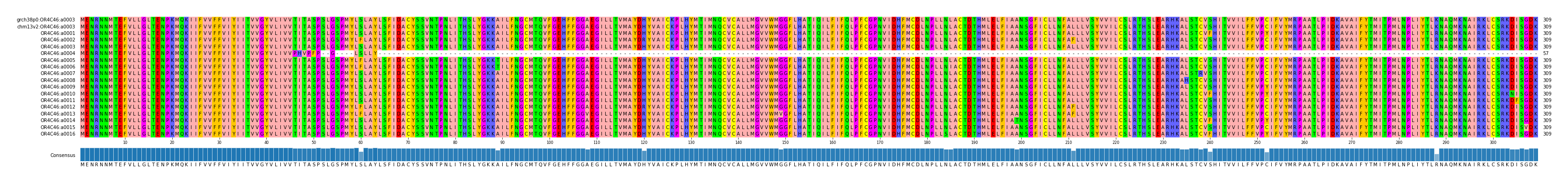 Multiple Alignments (by translate haplotype frequency)