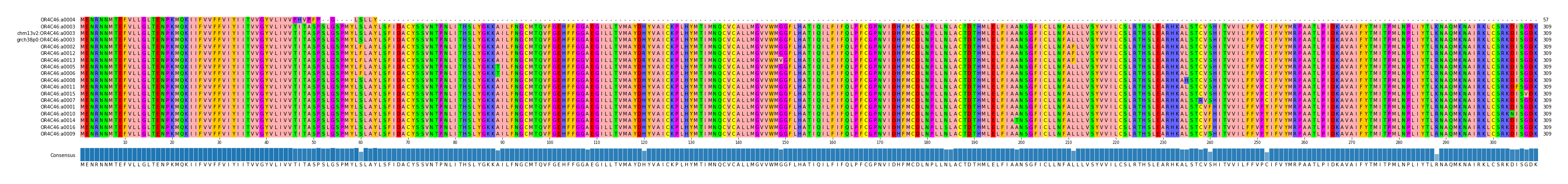 Multiple Alignments (by translate haplotype similarity)