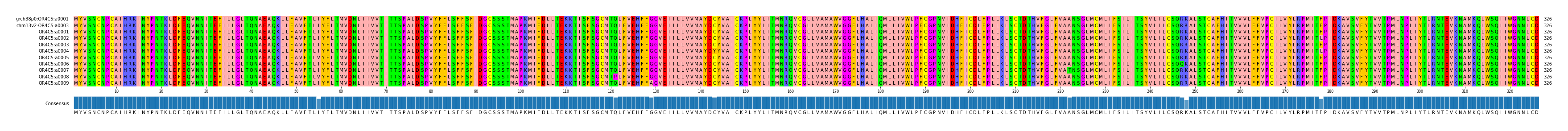 Multiple Alignments (by translate haplotype frequency)