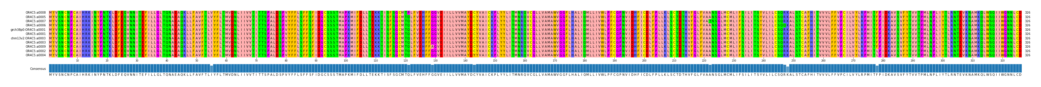 Multiple Alignments (by translate haplotype similarity)