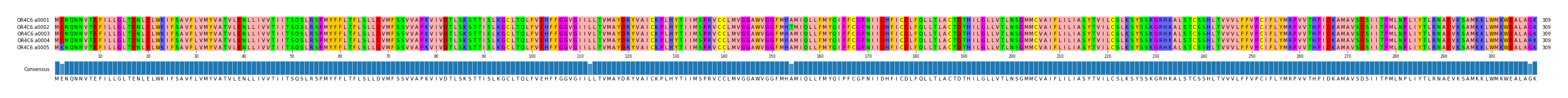 Multiple Alignments (by translate haplotype frequency)