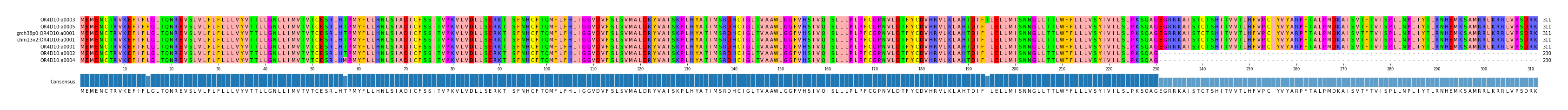 Multiple Alignments (by translate haplotype similarity)