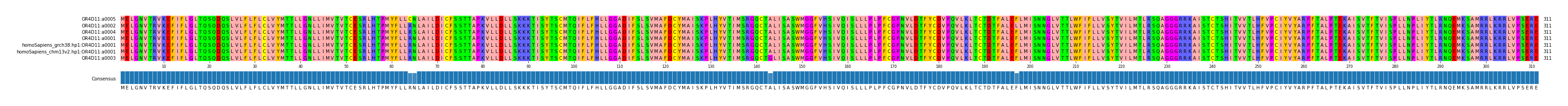 Multiple Alignments (by translate haplotype similarity)