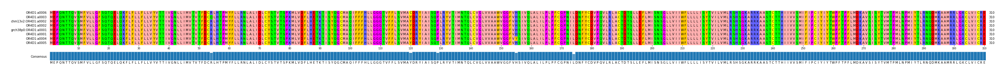 Multiple Alignments (by translate haplotype similarity)