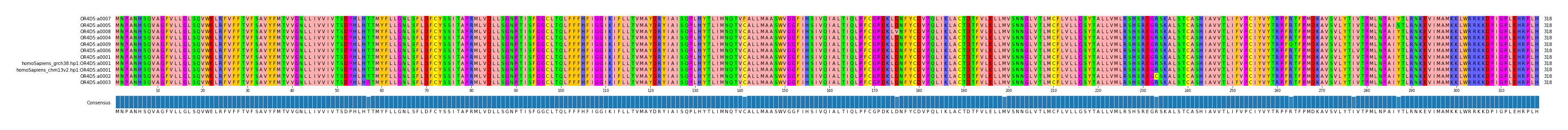 Multiple Alignments (by translate haplotype similarity)