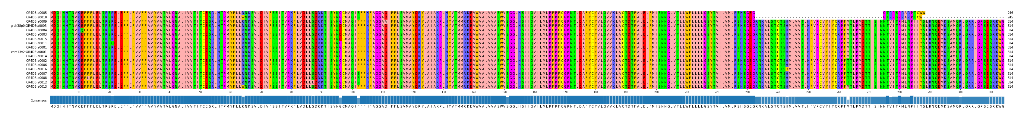 Multiple Alignments (by translate haplotype similarity)