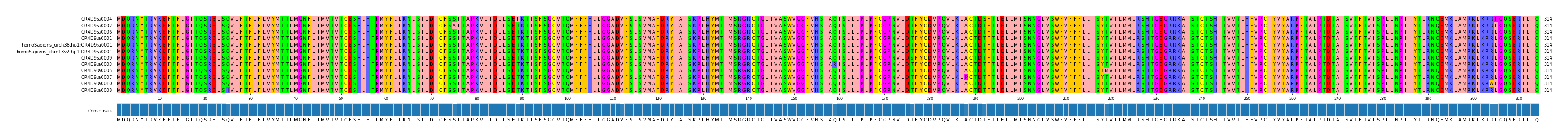 Multiple Alignments (by translate haplotype similarity)