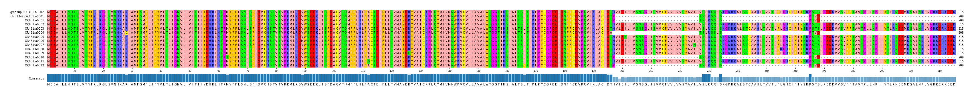Multiple Alignments (by translate haplotype frequency)