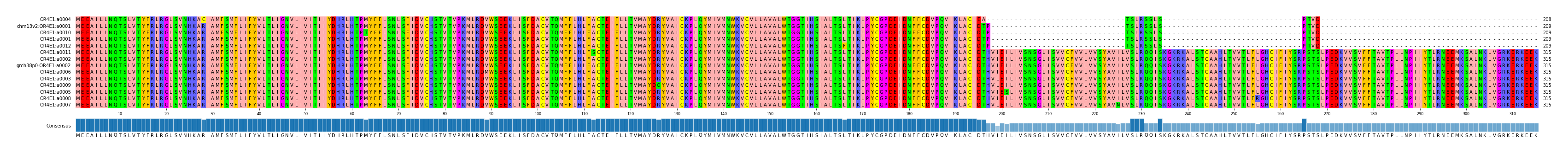 Multiple Alignments (by translate haplotype similarity)