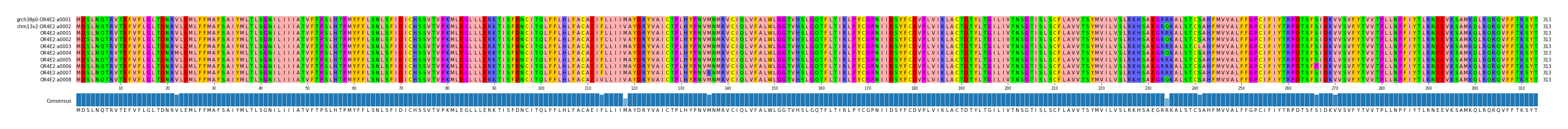 Multiple Alignments (by translate haplotype frequency)
