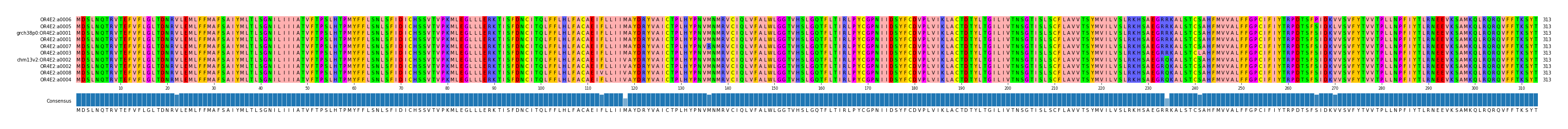 Multiple Alignments (by translate haplotype similarity)