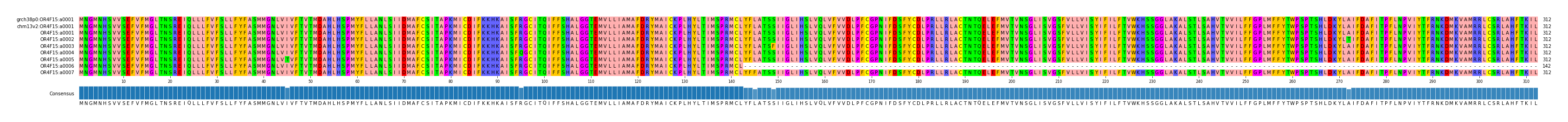 Multiple Alignments (by translate haplotype frequency)