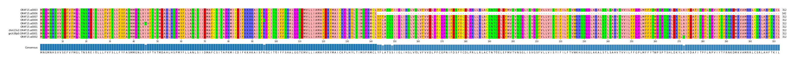Multiple Alignments (by translate haplotype similarity)