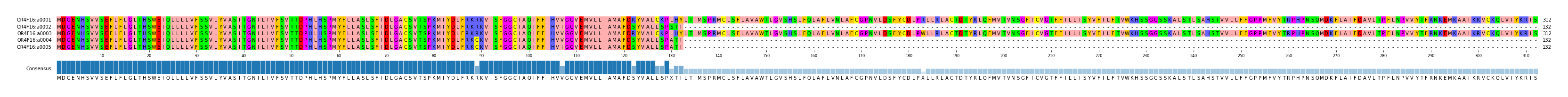 Multiple Alignments (by translate haplotype frequency)